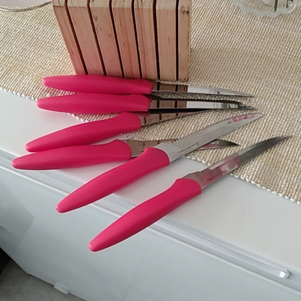Set of 6 Steak Knives in Wooden Block NWOT